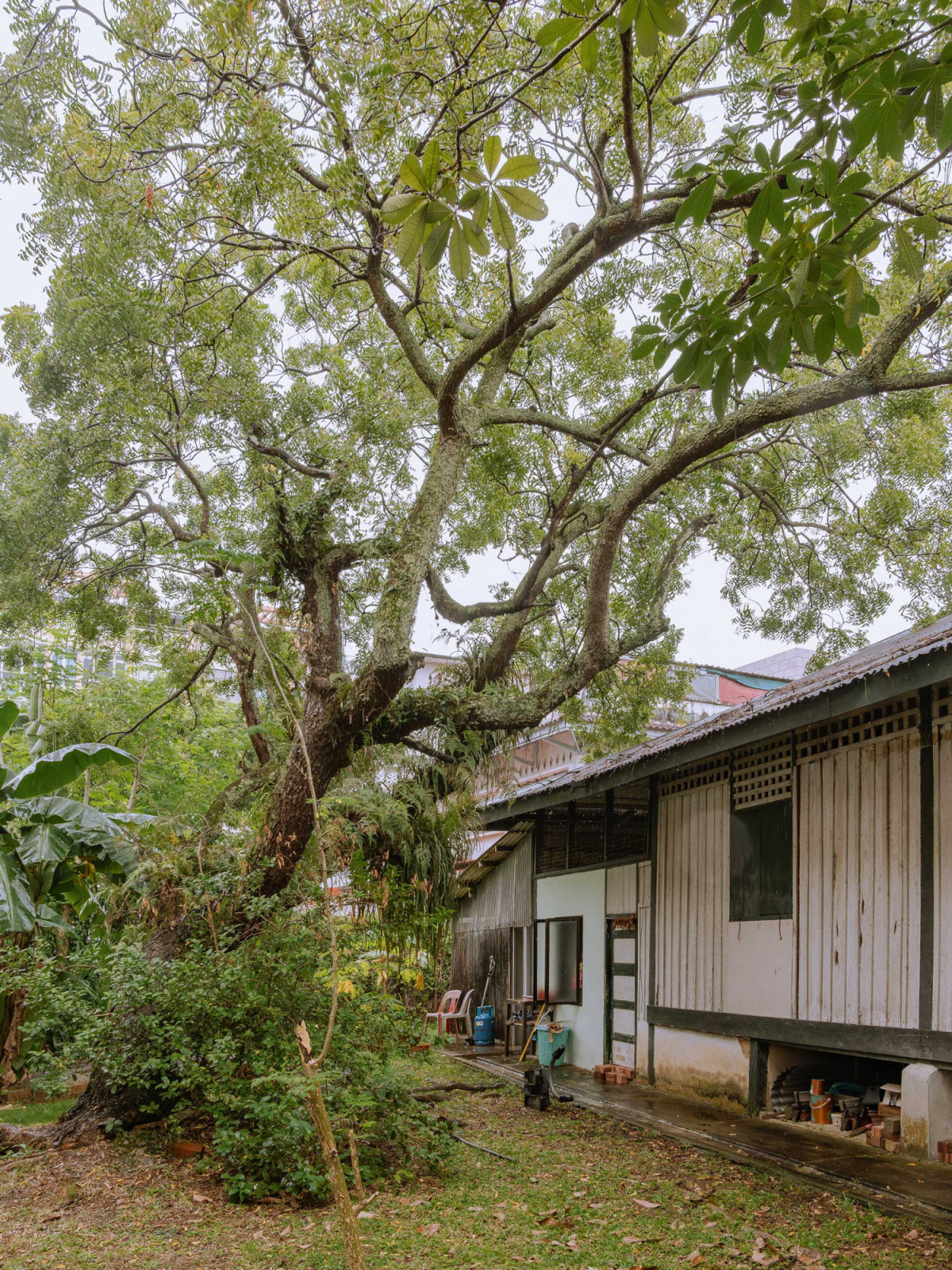 The exterior of the original attap house