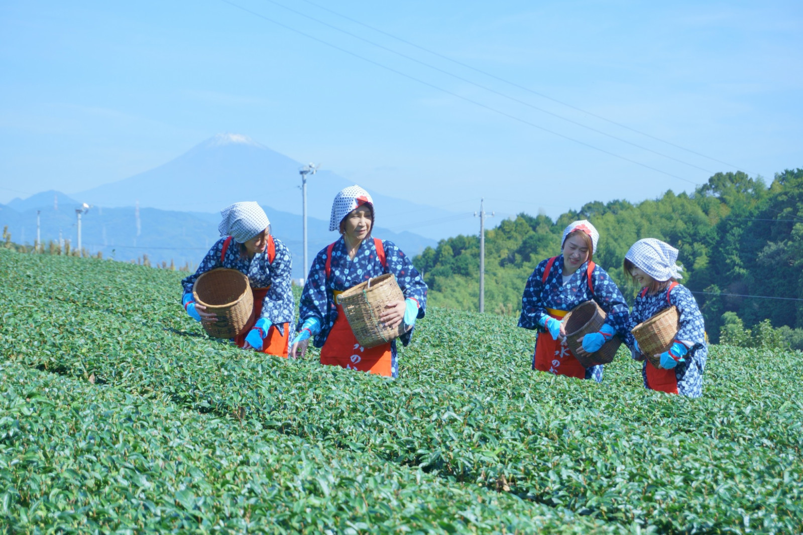 Beyond restaurants and street food stalls, food and drink museums in Japan offer a fascinating look at the people, ideas and traditions that have shaped the nation’s culinary identity. From ramen and whisky to tea, rice and fermentation, these destinations uncover the stories behind some of Japan’s most iconic flavours (Photo: taasshizuoka/Instagram)