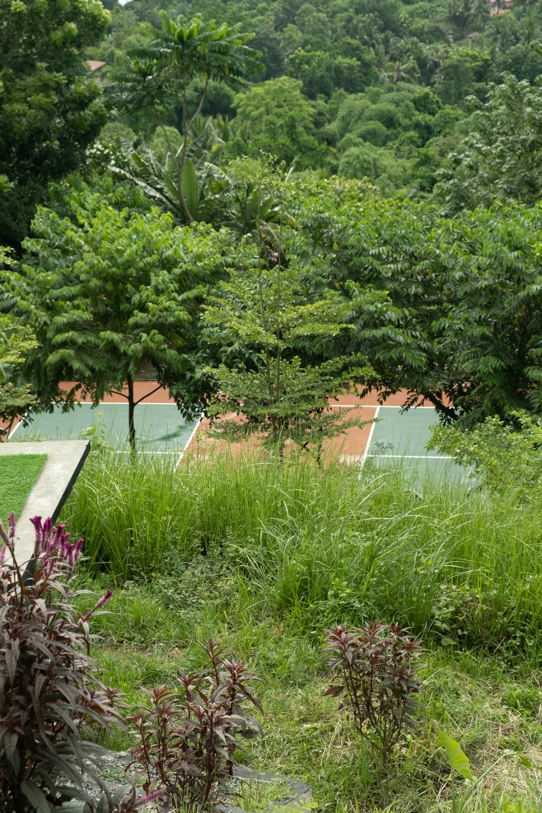 A glimpse of the pickleball court through the greenery of Tanua Private Retreat, Batangas, designed by Martin and Melissa Rosario (Photo: Zo Torres)