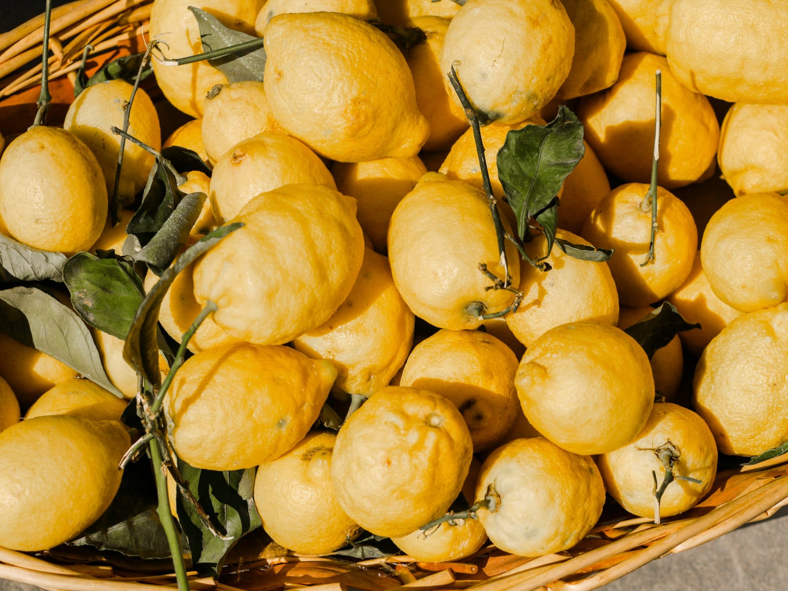 Whether you’re drawn to creamy vanilla, sparkling bergamot or velvety rose, your go-to fragrance note may explain why certain perfumes earn a permanent place on your shelf (Photo: Sarah Elizabeth/Unsplash)