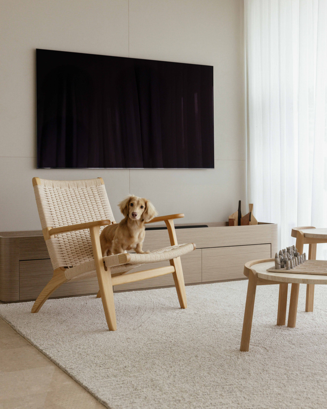 The family's dachshund settles into a woven lounge chair beneath the television console