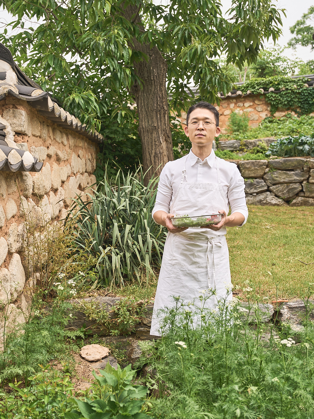 A culinary professional gathers fresh ingredients in a serene garden setting.