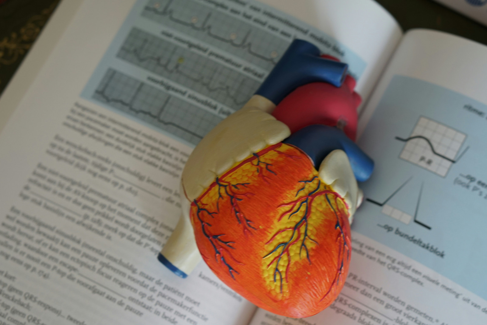 When obesity occurs alongside diabetes, hypertension and high cholesterol, the cardiovascular burden becomes even greater (Photo: Unsplash)