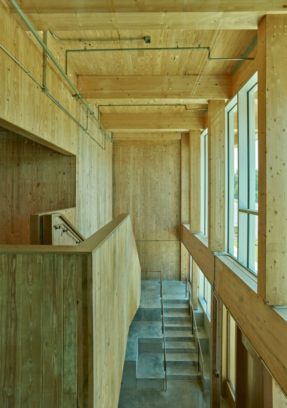 Cross-laminated timber lines the walls, ceiling and stairwell of this internal circulation route, with exposed service pipes running along the upper wall (Photo: Timothy Hursley)