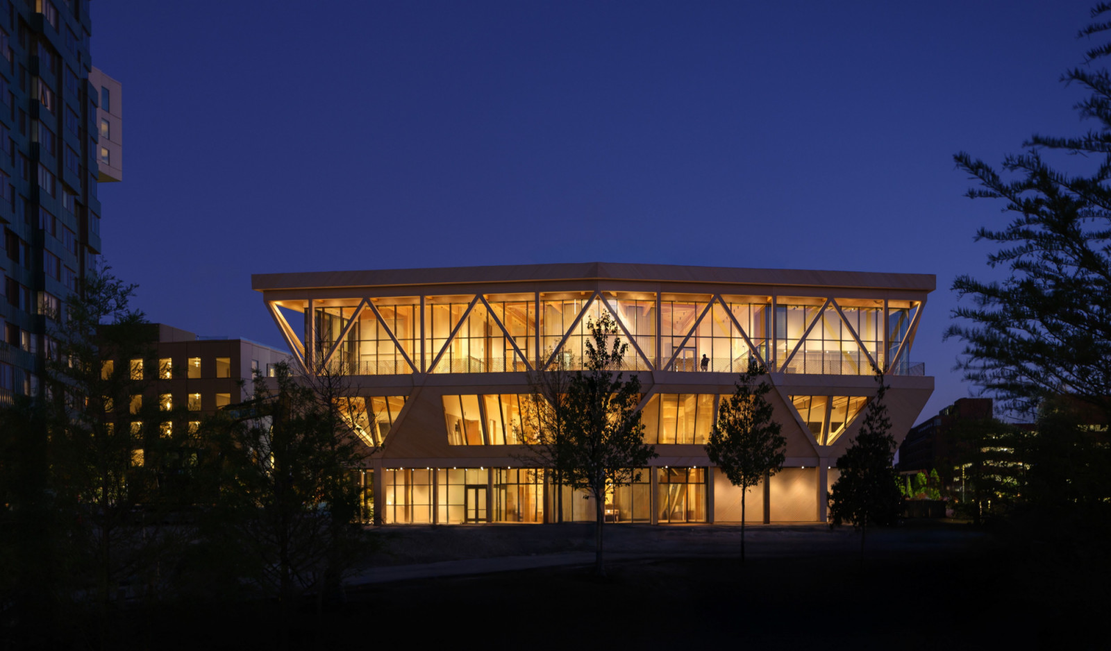 At night, the Rubenstein Treehouse’s diagonal timber bracing glows against a deep blue sky, its glazed upper storey revealing Canopy Hall’s interior (Photo: Jason O’Rear)