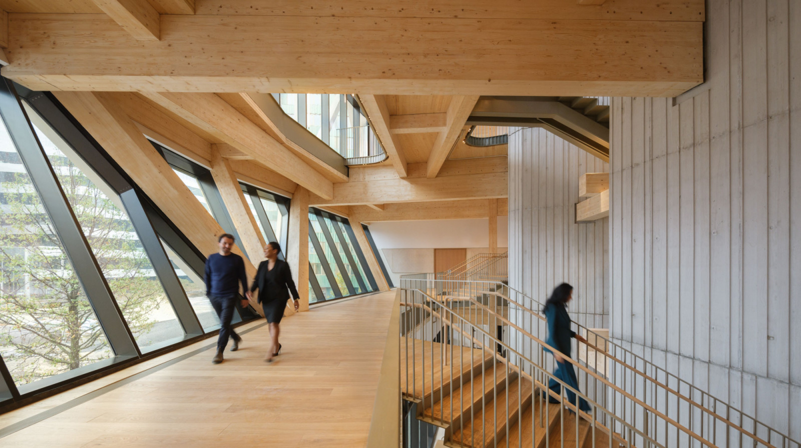 The mass timber corridor is lined with angled glazing, with exposed diagonal bracing visible overhead (Photo: Jason O’Rear)