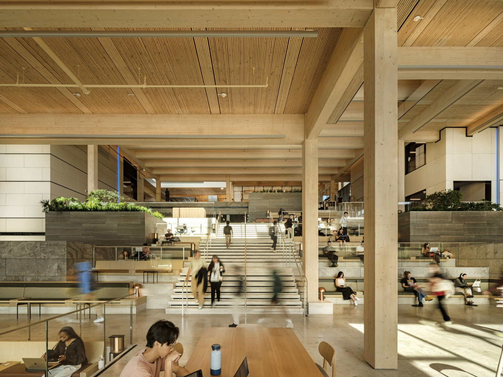 Students descend a wide stepped staircase that doubles as informal seating, flanked by stone-clad planters and timber columns (Photo: Laurian Ghinitoiu)