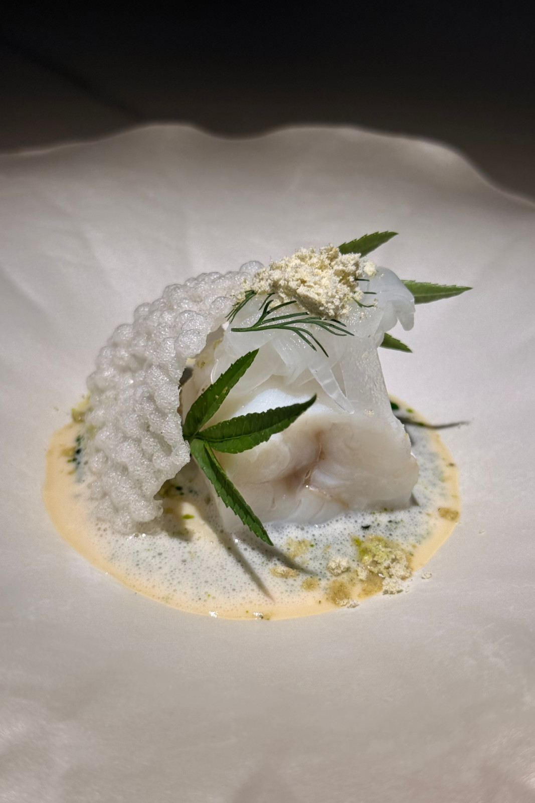 The fish course from Helm by Josh Boutwood's Single Ingredient menu: Atlantic cod, cauliflower purée, bacalao confit, roasted kombu cream sauce, dill oil, pickled kohlrabi, cod skin powder, tapioca cracker, marigold leaf.