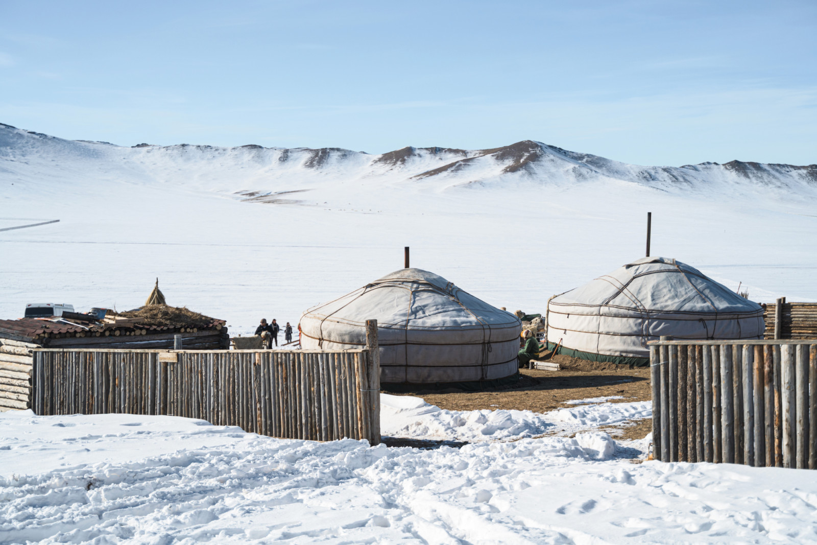 Gers stand resilient on a vast, snow-covered steppe, showcasing nomadic life in winter.