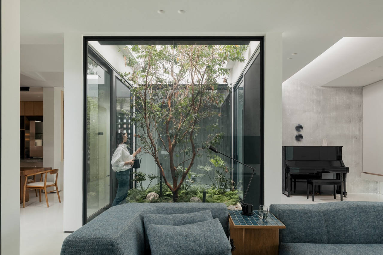 A courtyard tree seen through full-height glazing from the living room, with a figure watering plants beside it