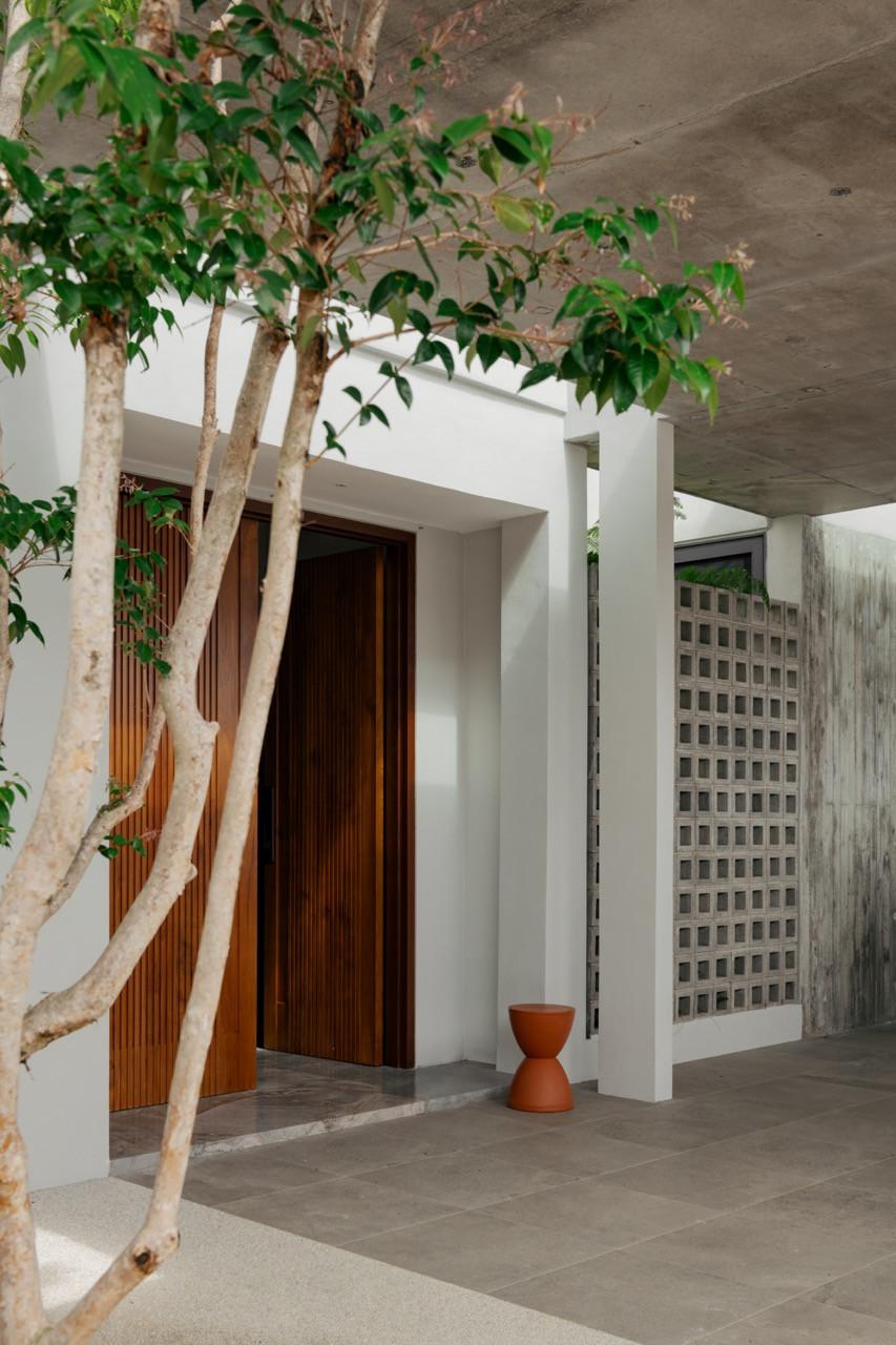 The timber front door, framed by a young tree and a perforated brick screen at the entrance