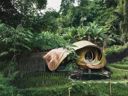 The New Moon House at Bambu Indah, its curved bamboo shell set among rice terraces (Photo: Bambu Indah)