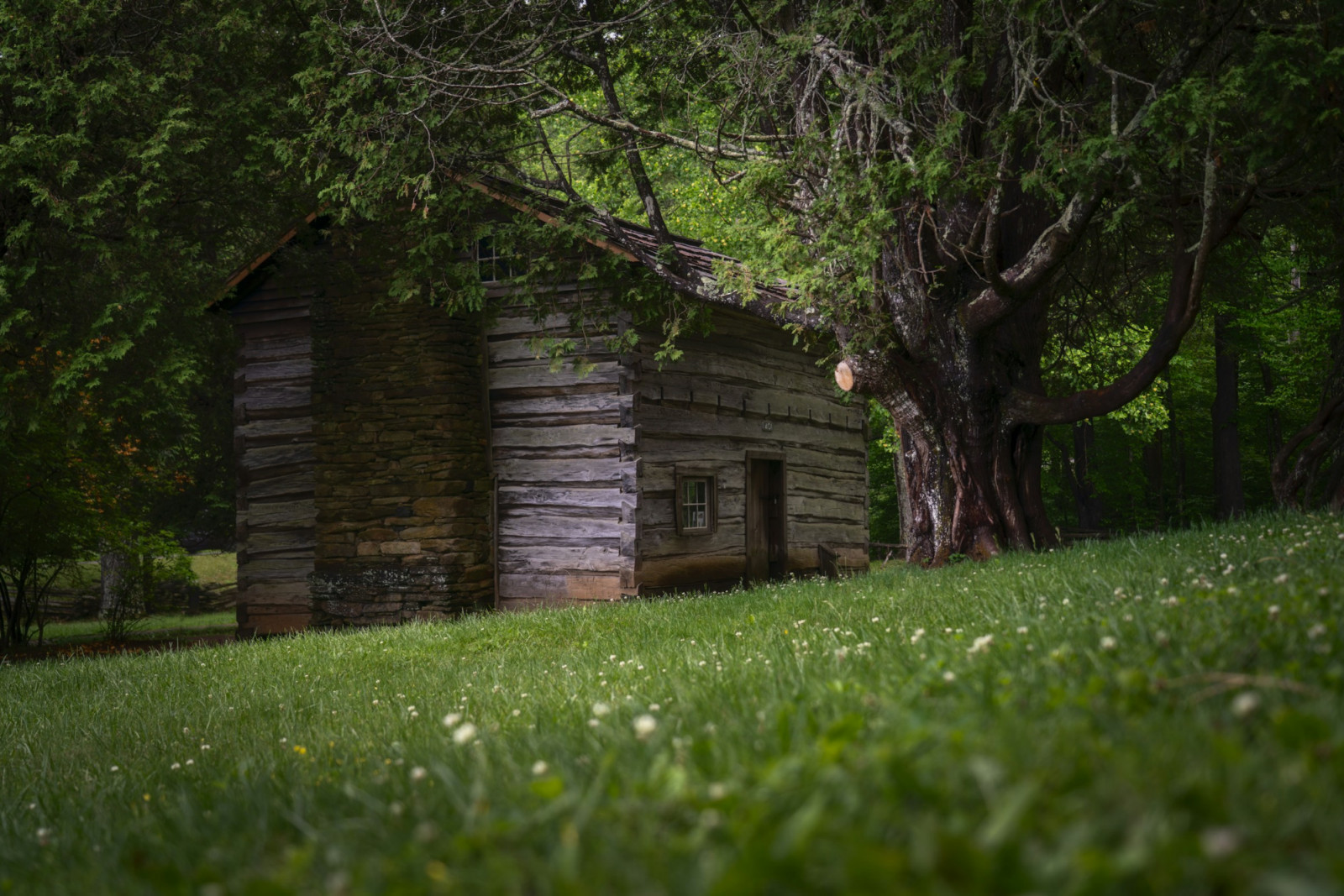 Discover the eerie allure of folk horror with these ten essential reads for beginners, featuring isolated settings, ancient rituals, and outsiders in over their heads (Photo: Intricate Explorer/Unsplash)