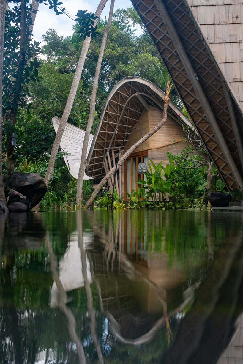 Ulaman Eco Retreat's rammed-earth and bamboo structures mirrored in one of the property's reflecting pools, the curved bamboo roofline sweeping past a living palm trunk left untouched during construction