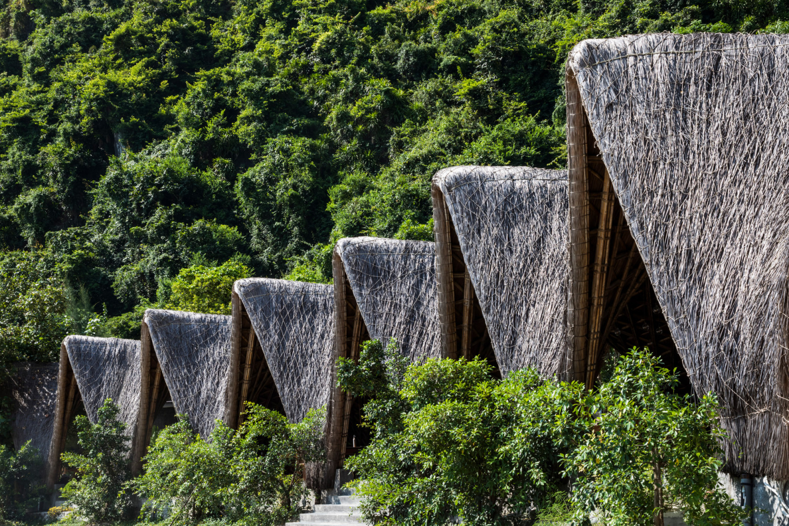 A line of guest huts along the shoreline, each thatched roof pitched at a slightly different angle against the forested cliffs behind