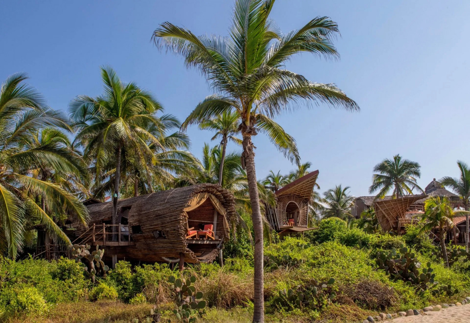 The bamboo treehouses at Playa Viva strung along the Mexican coastline, their curved, ray-inspired forms rising among coconut palms and cactus
