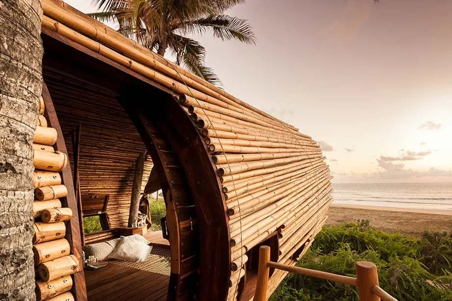 Inside one of Playa Viva’s treehouses, split bamboo cladding wraps a curved frame open to the Pacific at sunset