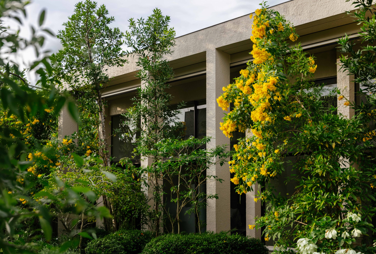 Blooming trees soften the pavilions' geometry, part of landscape firm Salad Dressing's living cast of characters across the 30,016 sq ft grounds