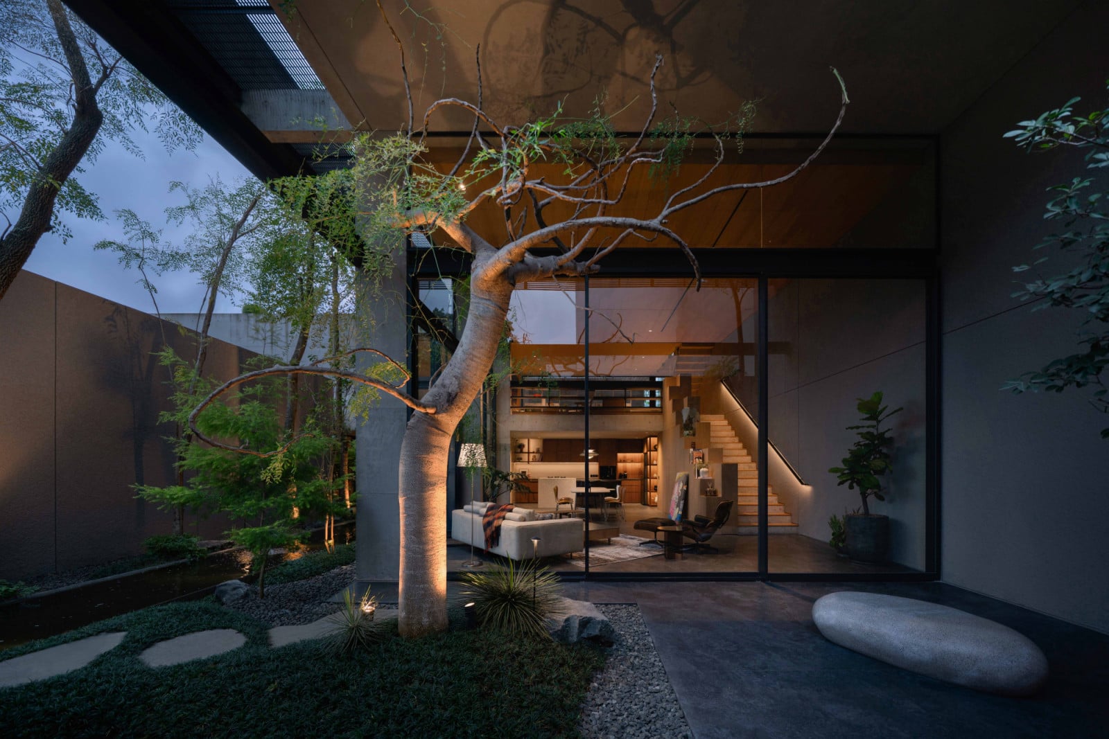 An evening view of the interior of the Lift House in Bandung, Indonesia by Pranala Associates and Christopher Tan Studio from the garden, framed by a sculptural moringa tree and evoking an oasis in the middle of a dense urban neighbourhood