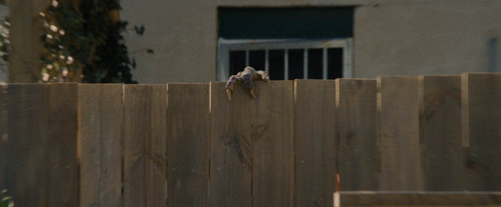 A juvenile dinosaur spotted foraging near the Oak Street perimeter