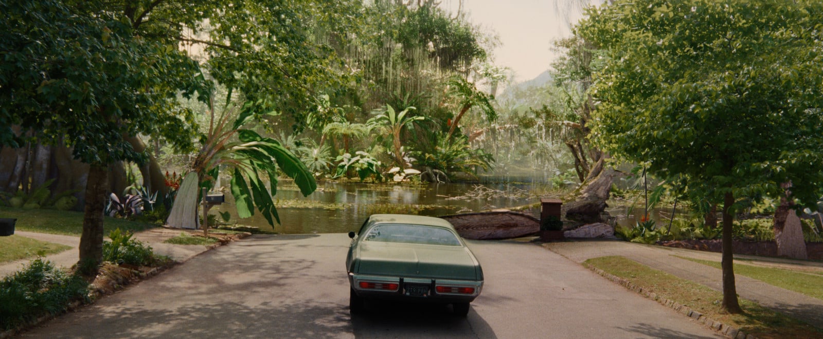 A wide shot of the transplanted neighbourhood against Jurassic canopy. It's a deadend for the family.