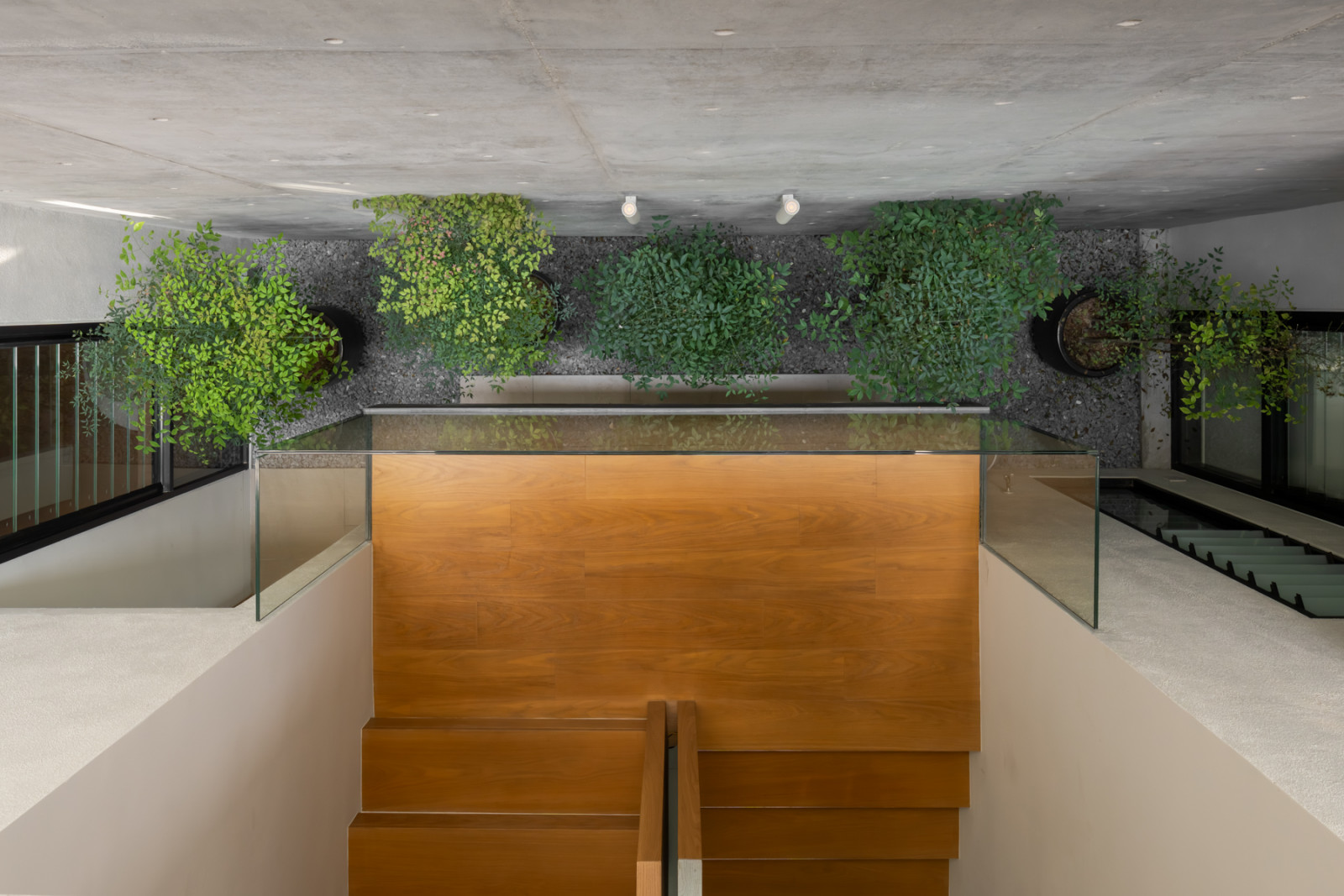 Planting spills over the edge of the roof terrace, visible from the stairwell below