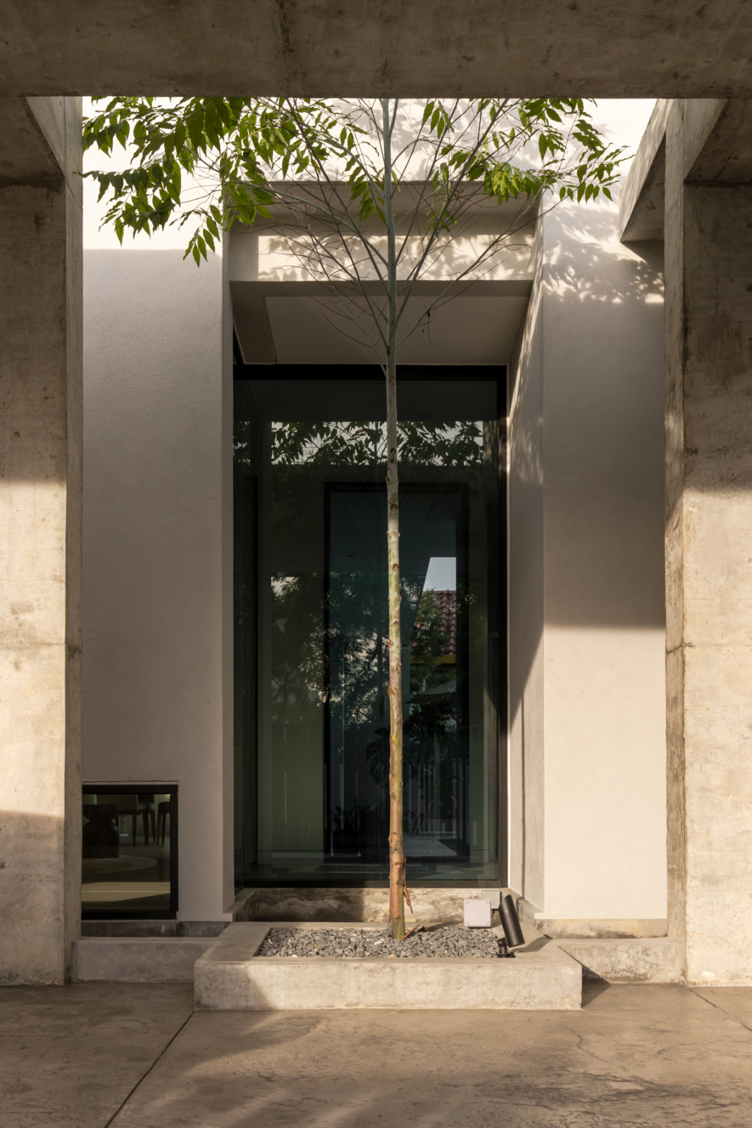 A tree grows through an opening in the concrete car porch structure, part of the threshold between the entrance and the house