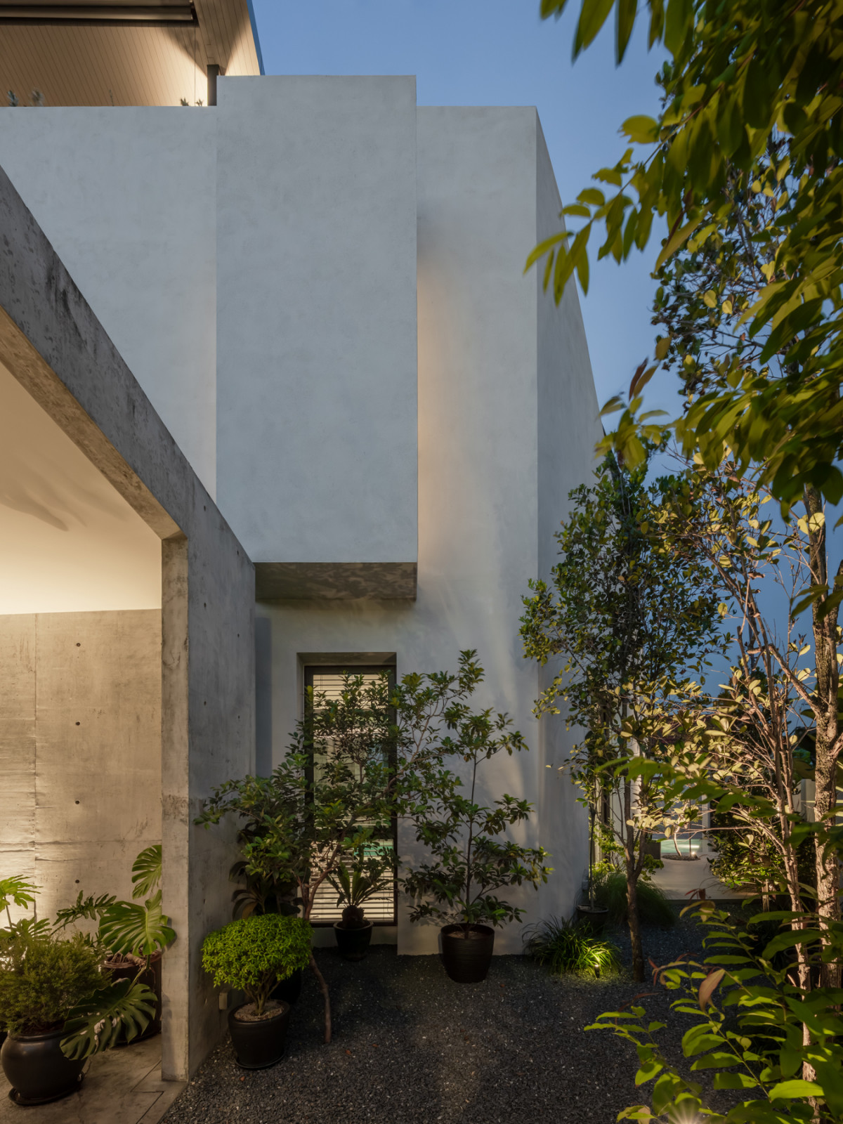 The narrow courtyard beside the entrance is planted with a mix of trees and shrubs, softening the concrete carport structure and the plastered wall beyond