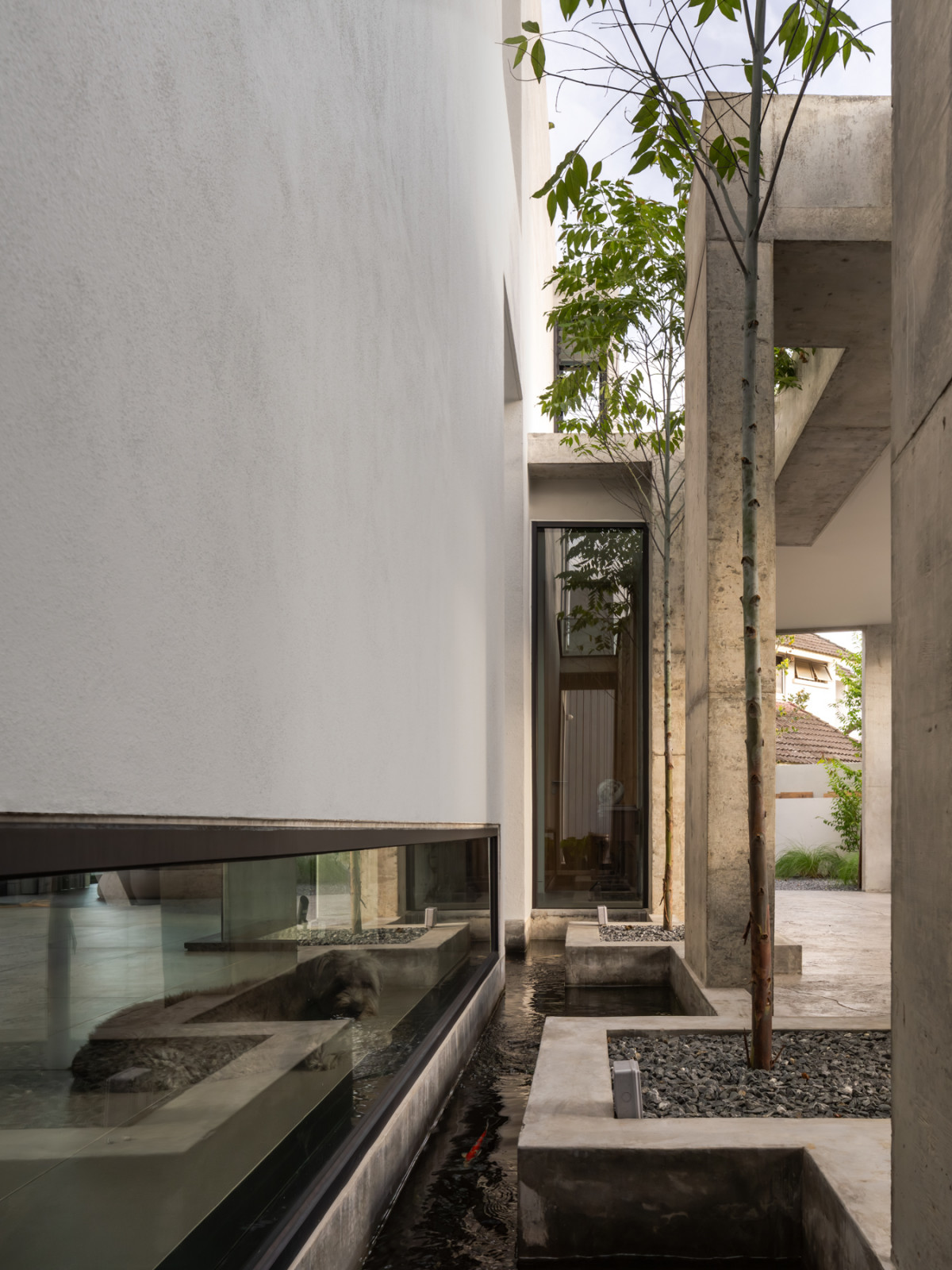 The koi pond runs alongside the car porch, threading between concrete columns and a planted internal courtyard