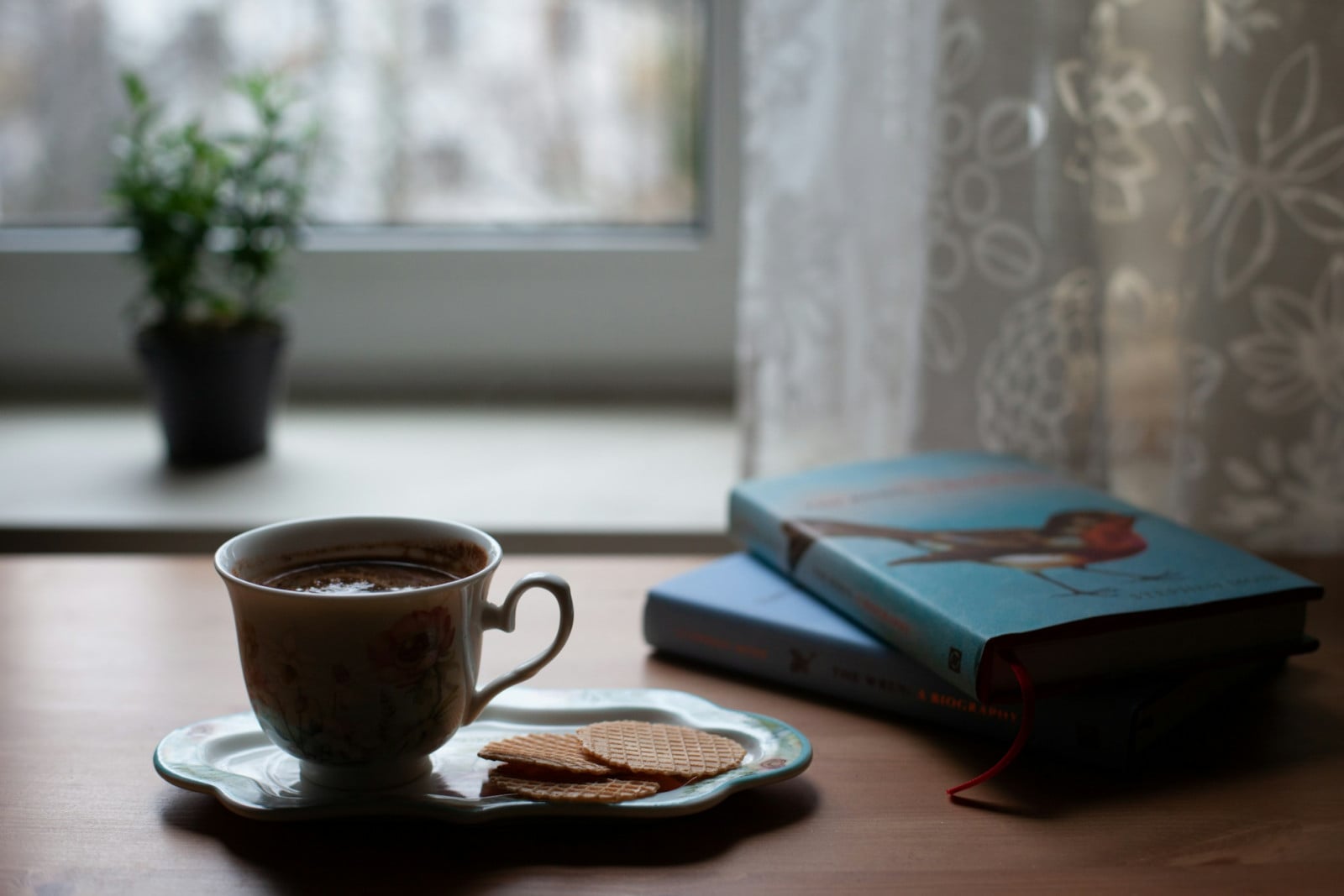 Step inside a world of cosy fantasy novels where the magic is quiet, the tea is always brewing, and the biggest conflict might just be keeping a small-town shop afloat (Photo: Tessa Terrus/Unsplash)