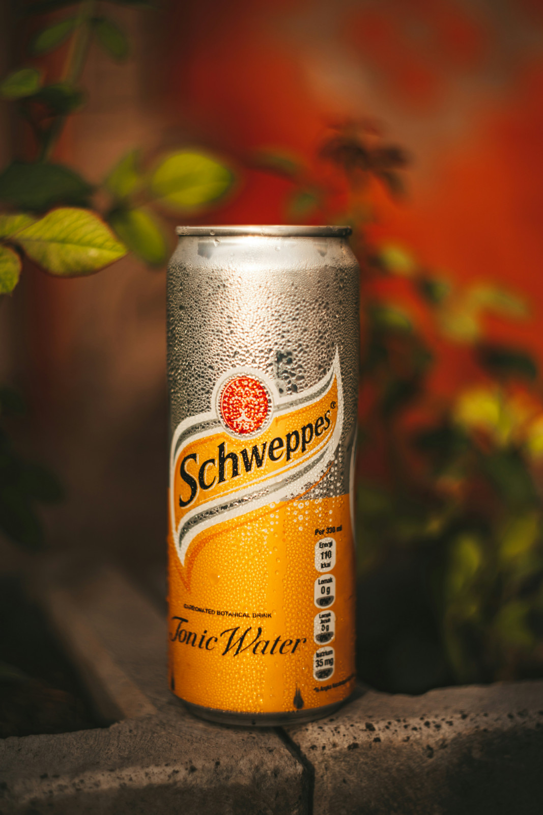 Schweppes Tonic Water, a chilled carbonated botanical drink, offers a distinct effervescent quality.