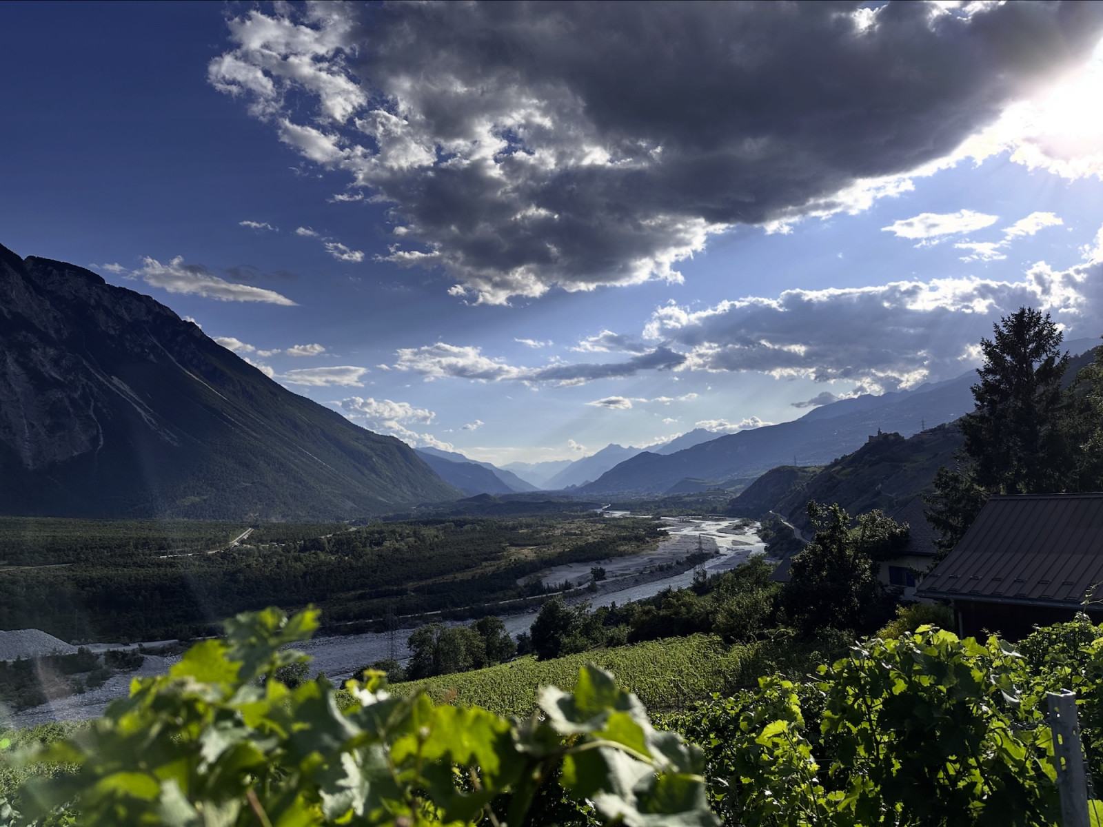 A majestic view of the vineyards and Rhône River, in the canton of Valais, Switzerland (Photo: Swiss Wine)