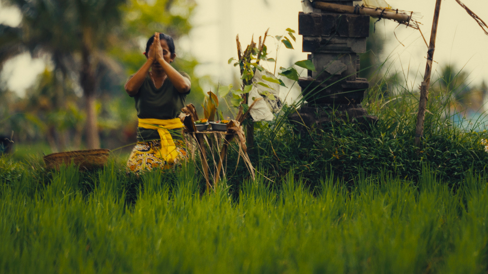 Film stills from Pasihan, depicting life in Bali’s subak communities.
