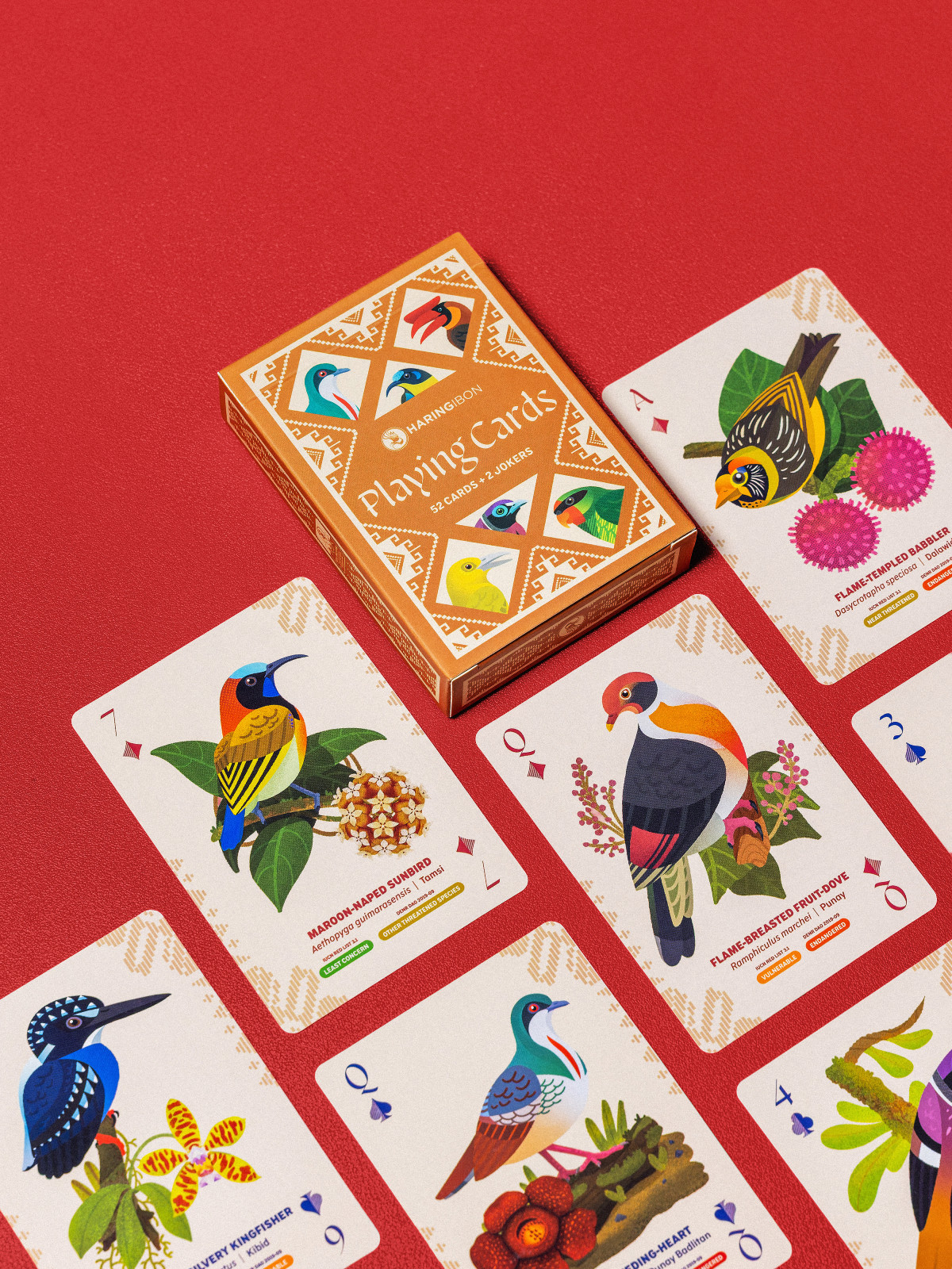Haring Ibon Playing Cards by Birds in Focus Inc