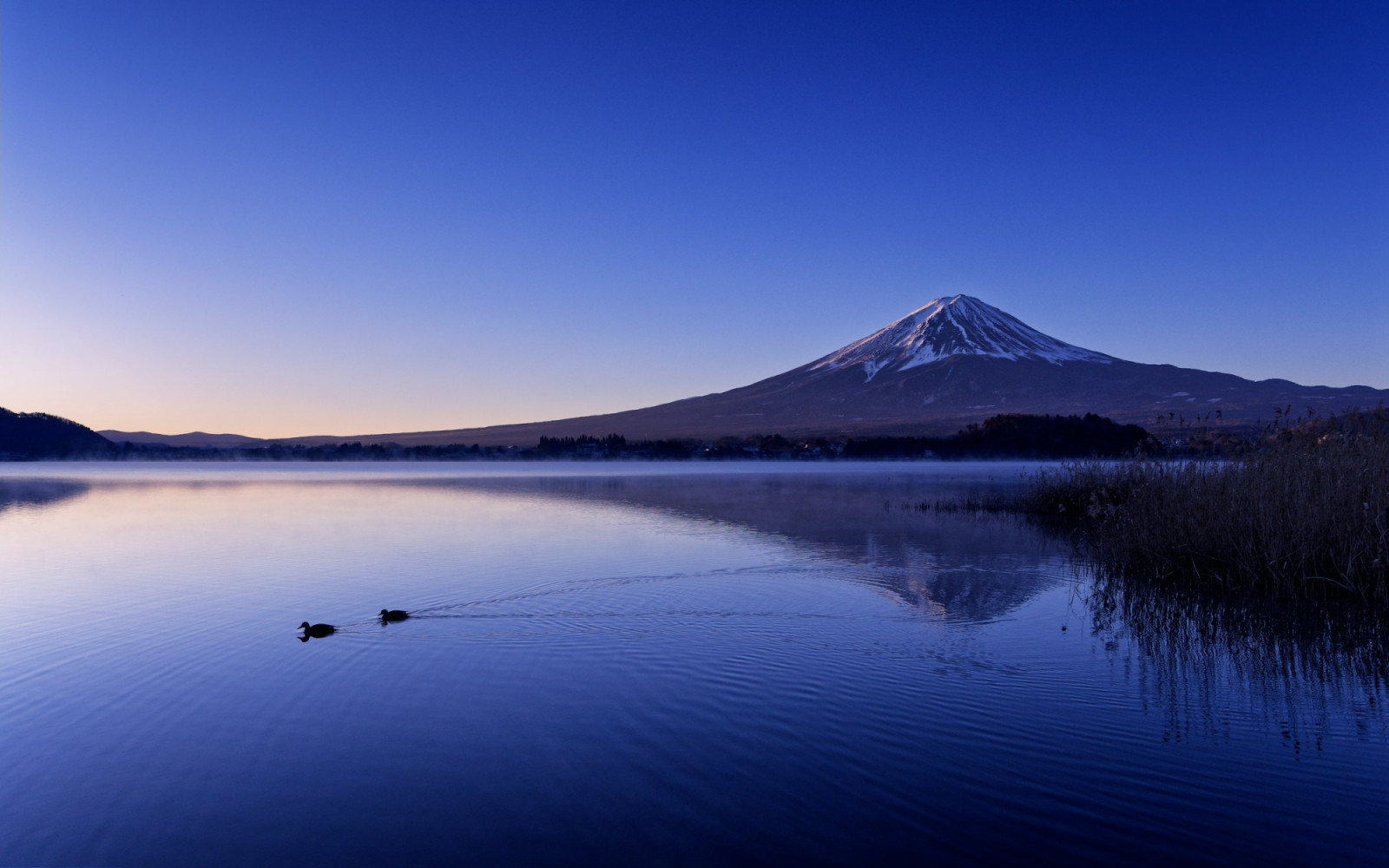 Mount Fuji at dawn, its snow-capped peak reflected in one of Japan's Fuji Five Lakes as two ducks glide by.
