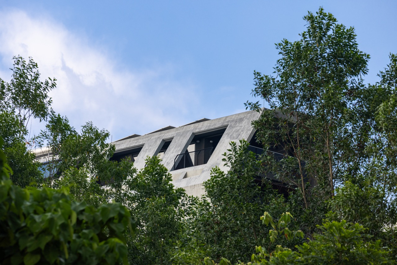 Seen through surrounding trees, the folded concrete roofline and a balcony opening are visible at the top of the house