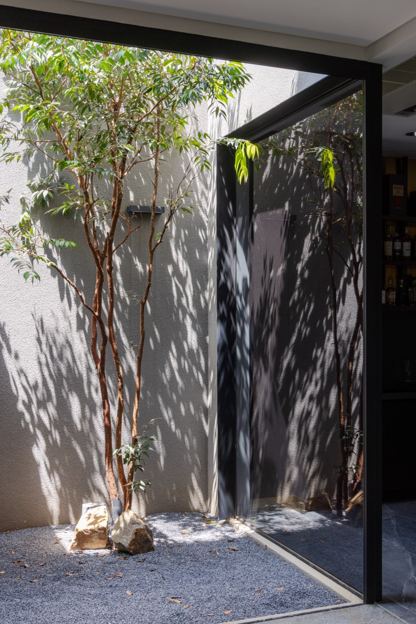 A slender tree grows in a gravel-bedded corner courtyard, its shadow falling across the render wall and a glazed door beside it