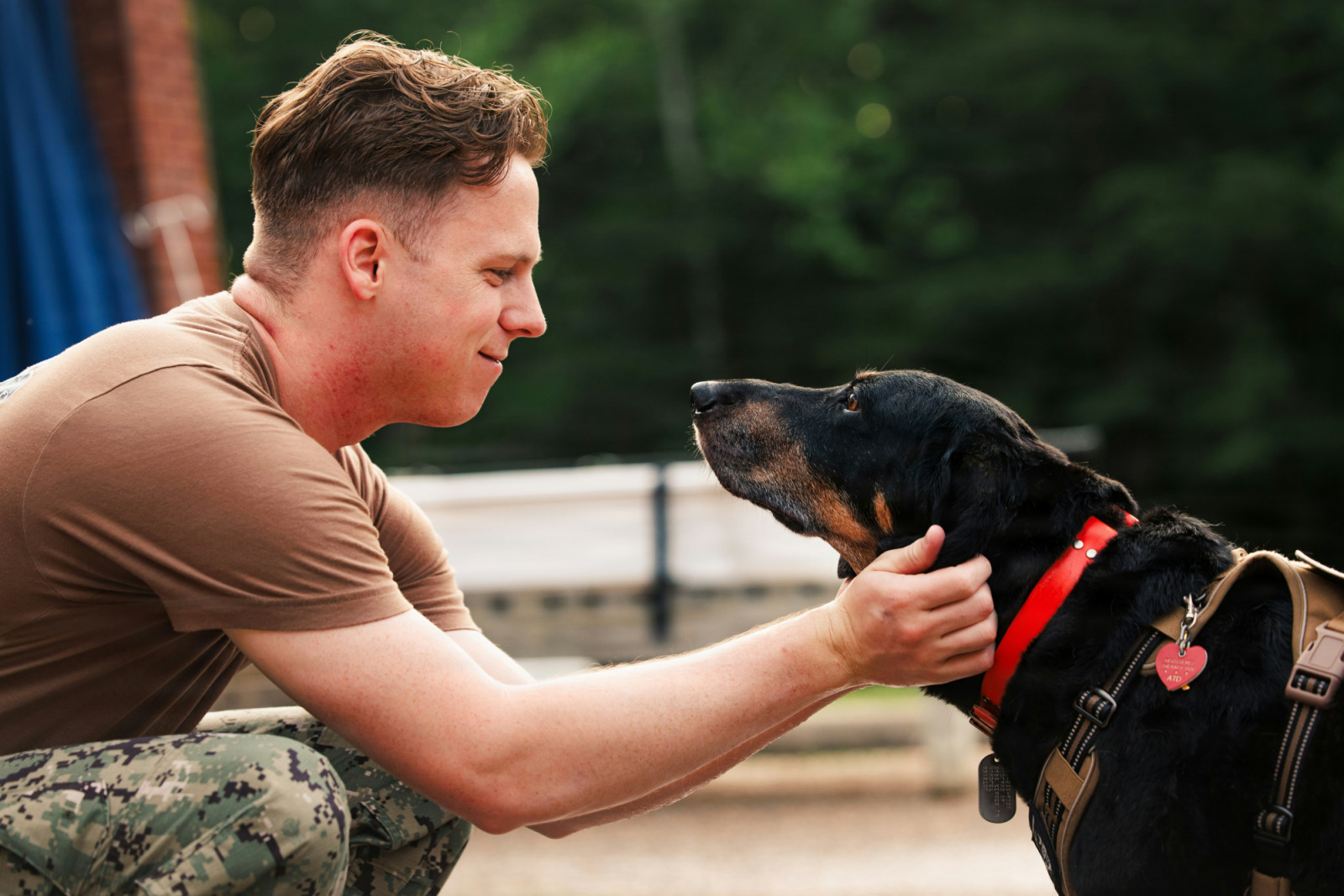 A serviceman shares a comforting moment with a registered therapy dog.
