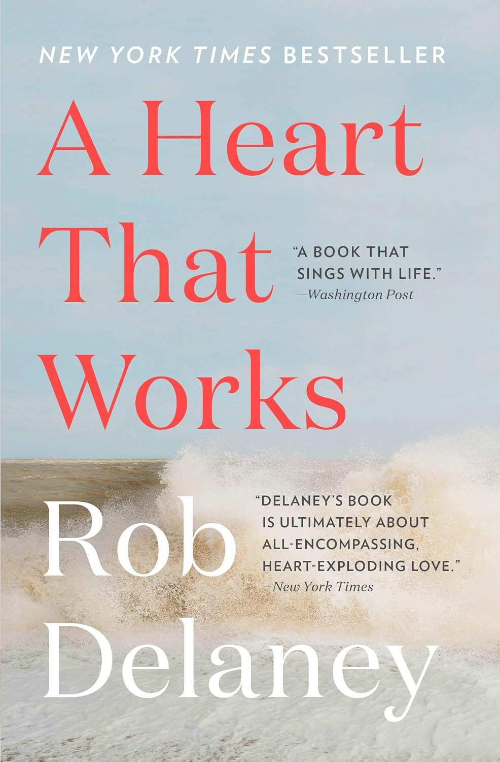 Rob Delaney's New York Times bestseller "A Heart That Works" offers a poignant account of love and enduring loss.