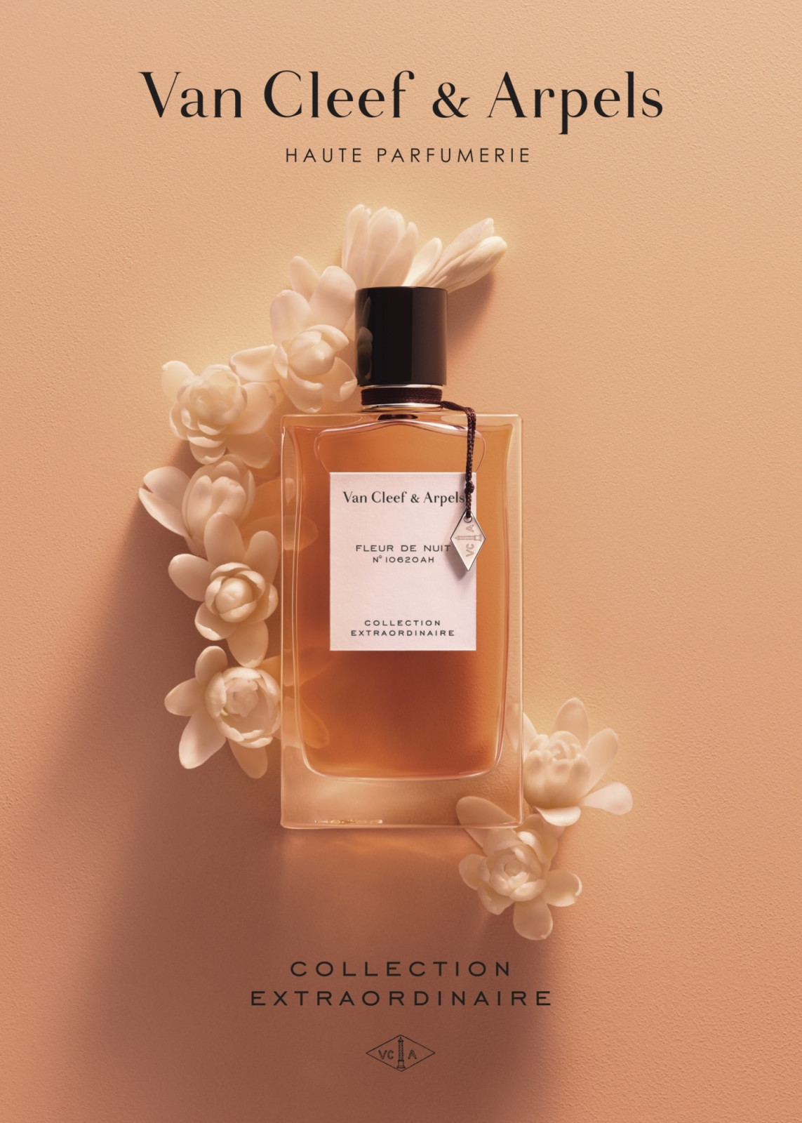 Van Cleef & Arpels Fleur de Nuit(圖︰Van Cleef & Arpels)