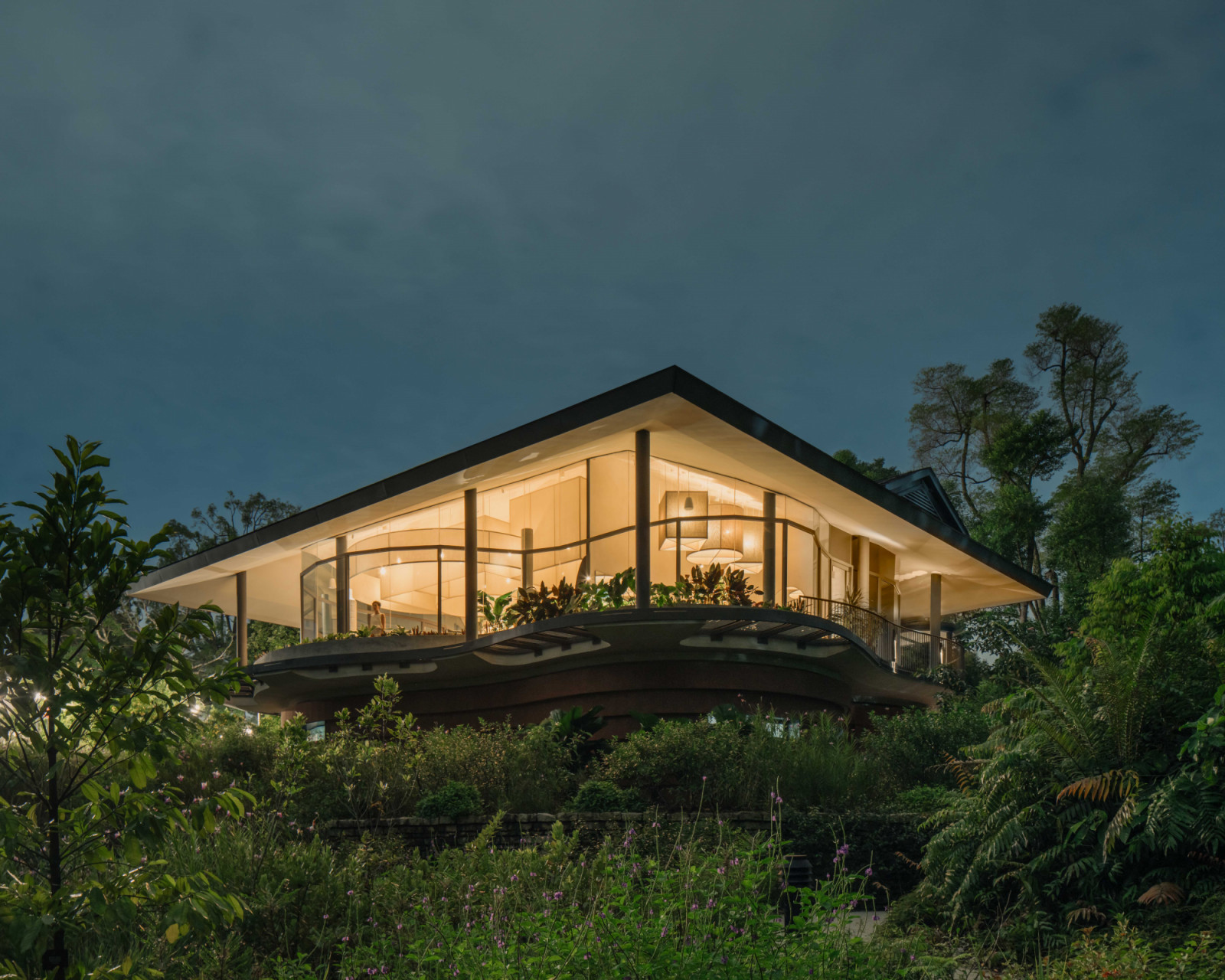 Pangium at Singapore Botanic Gardens