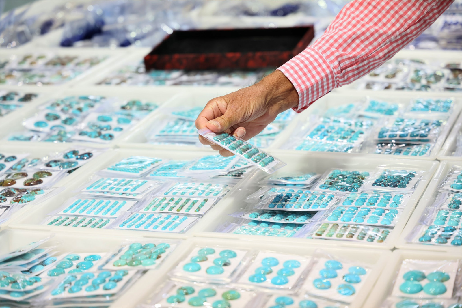 (Photo: courtesy of Jewellery & Gem World Hong Kong)