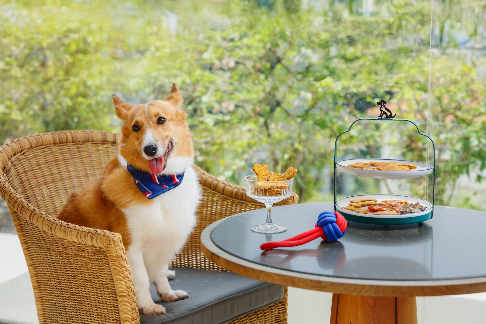 Conrad Singapore Orchard’s pet-friendly stay
