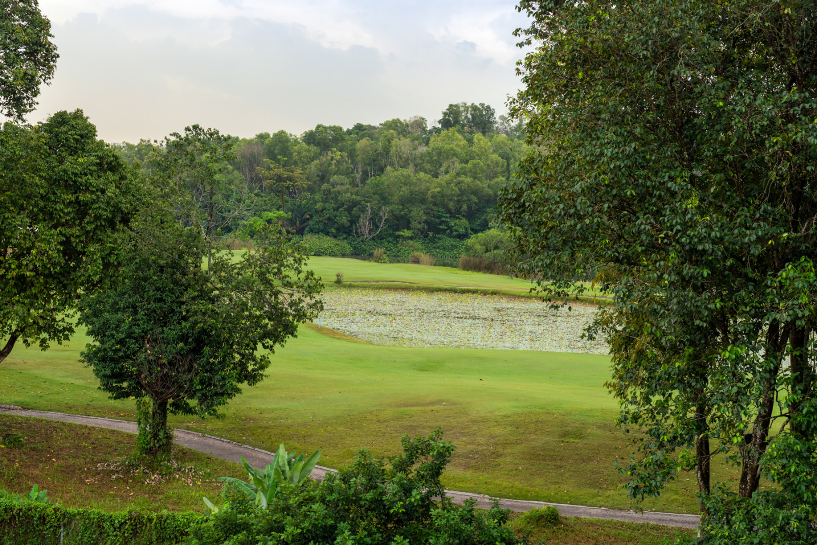 The view from the house takes in The Mines Golf Course and the lotus lake it borders, the greenery that first drew the designer to the site