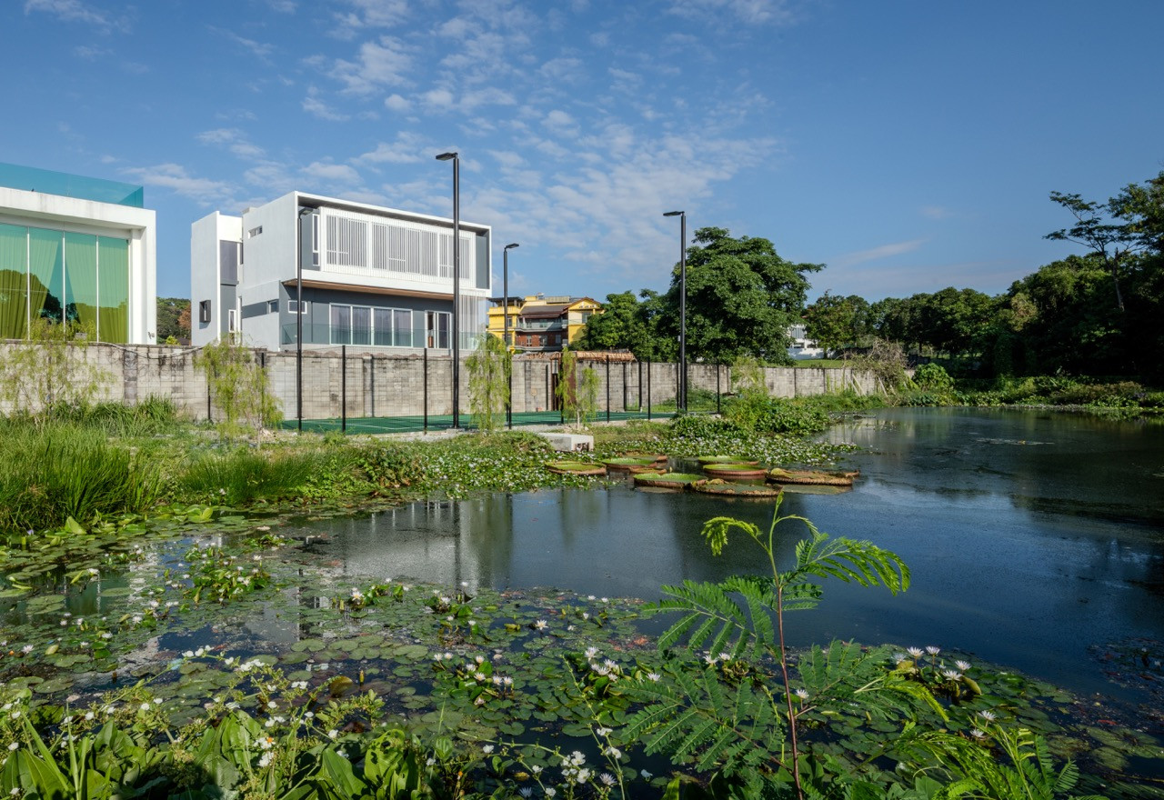 The revived pond at the rear of the property, now home to lotus plants and the wildlife they have drawn back to the site