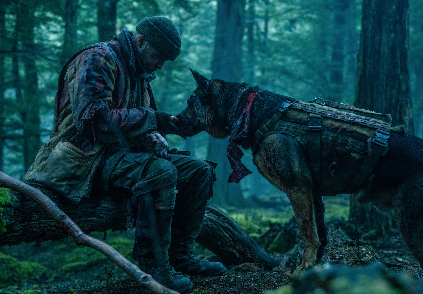 A look at ‘Heart of the Beast’, starring Brad Pitt and real German Shepherd ‘Uber’ (Photo: Paramount Pictures)