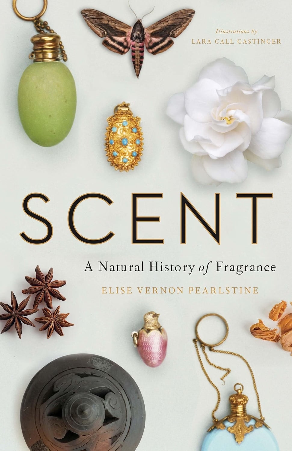 Scent: A Natural History of Fragrance by Elise Vernon Pearlstein, with illustrations by Lara Call Gastinger.