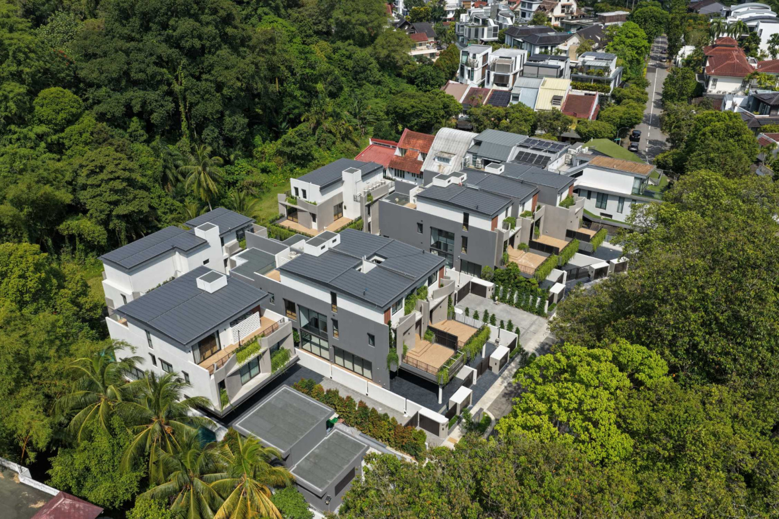 Nestled among mature trees, Anagram Homes’ project at Kheam Hock Road offers a rare pocket of tranquility