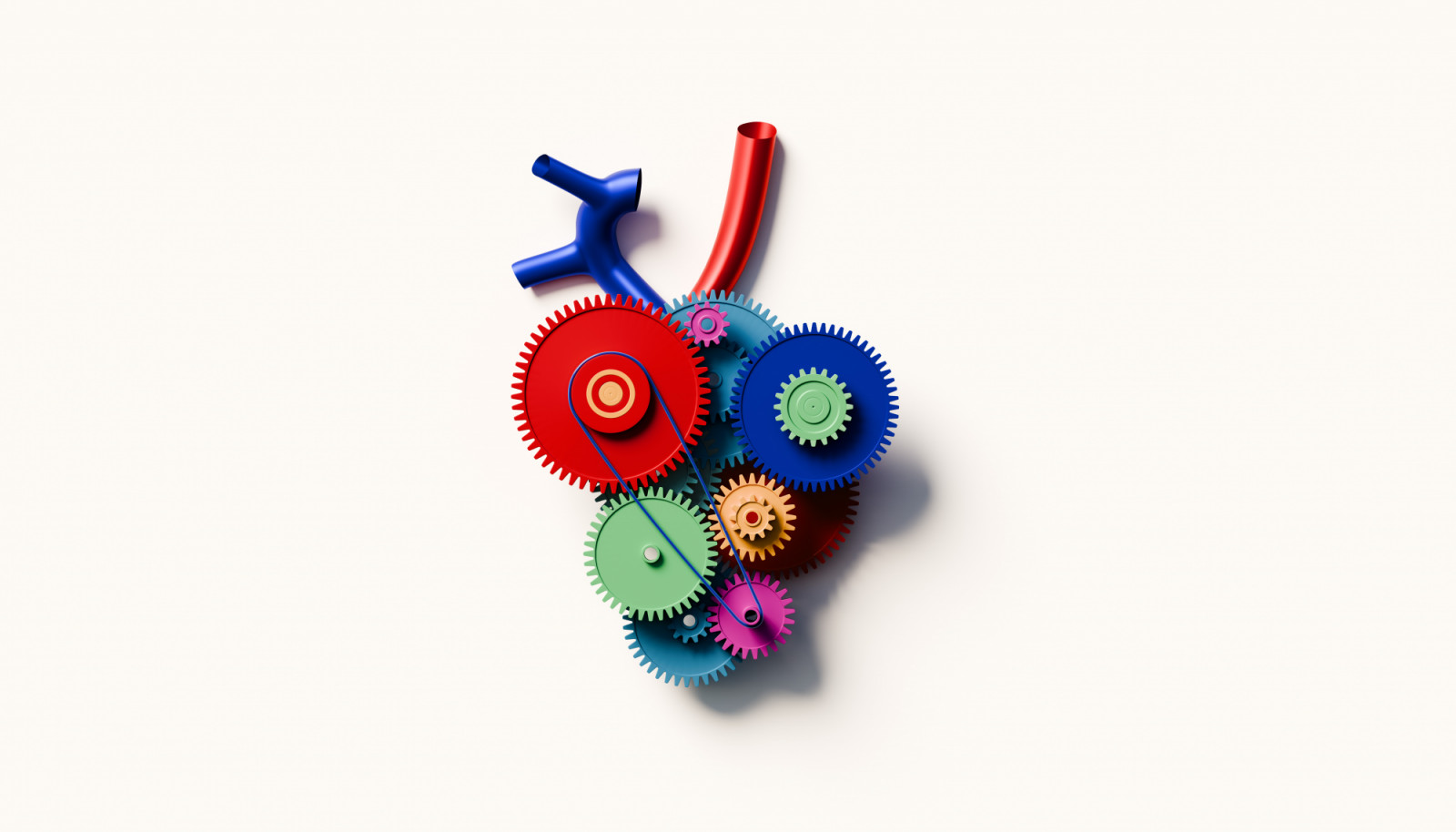 When it comes to protecting heart health, what advice do doctors follow themselves? We asked two cardiologists from Bumrungrad International Hospital (Photo: Getty Images)