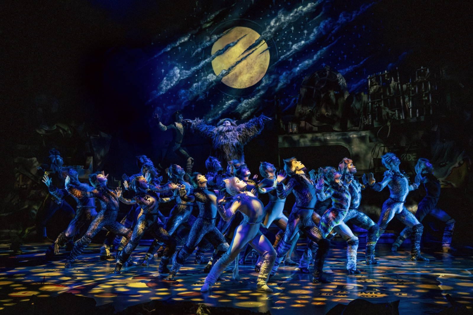 Cats The Musical, showing at Marina Bay Sands from October 29 to November 22